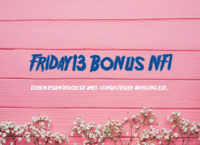 Friday13 Bonus NFI example